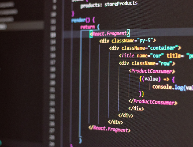 Custom web development service