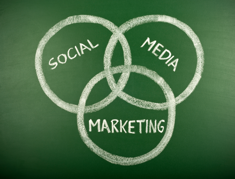 How to Create Data-Backed Social Media Strategies with Reporting Tools